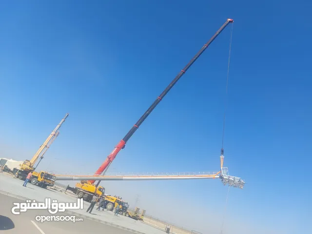 220-160-100-80-50-30 ton PDO/OXY approved cranes available on reasonable rent in oman