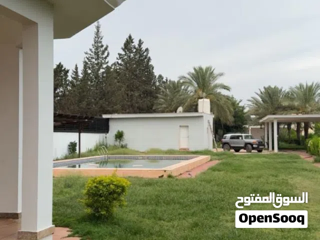 1 Bedroom Chalet for Rent in Tripoli Ain Zara