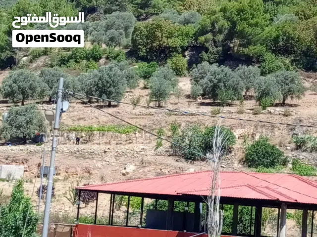 Mixed Use Land for Sale in Ajloun Downtown