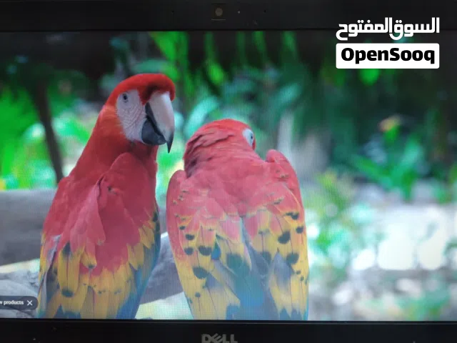 لابتوبات العدد اثنين للبيع شغالين وعل الفحص الموقع عمان للتواصل عل الدردشه او وتساب اب