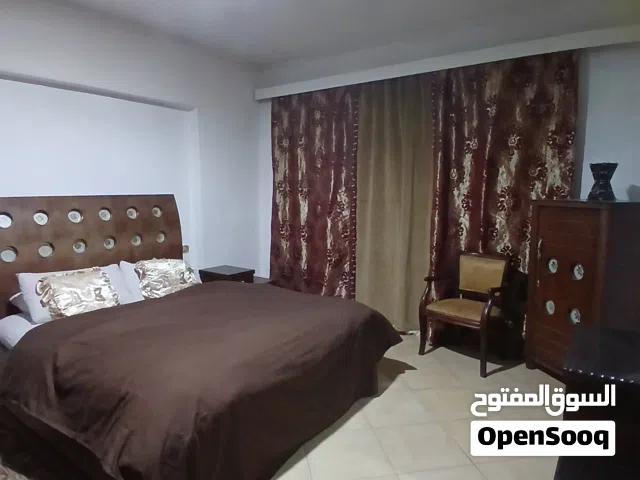 شقه من المالك مفروشه للايجار عباس العقاد مدينه نصر