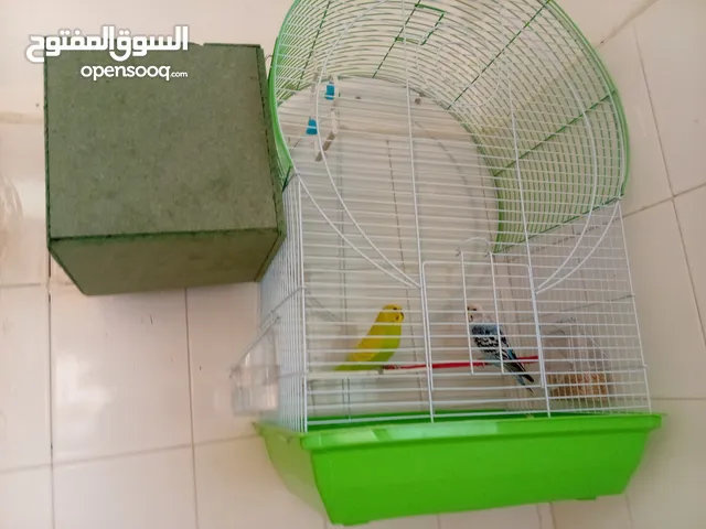 للبيع بسعر حرق