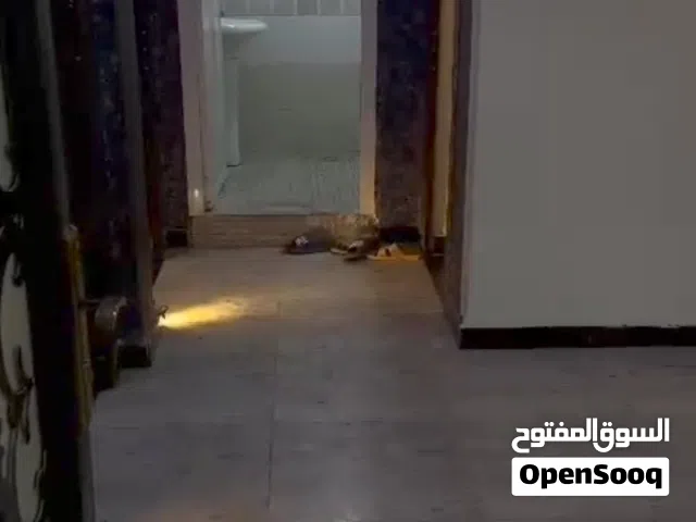 100 m2 2 Bedrooms Apartments for Rent in Basra Other