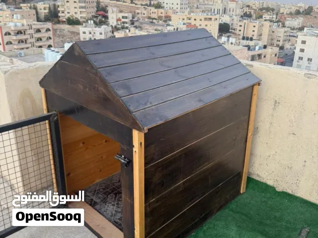 بيت كلب نخب للبيع