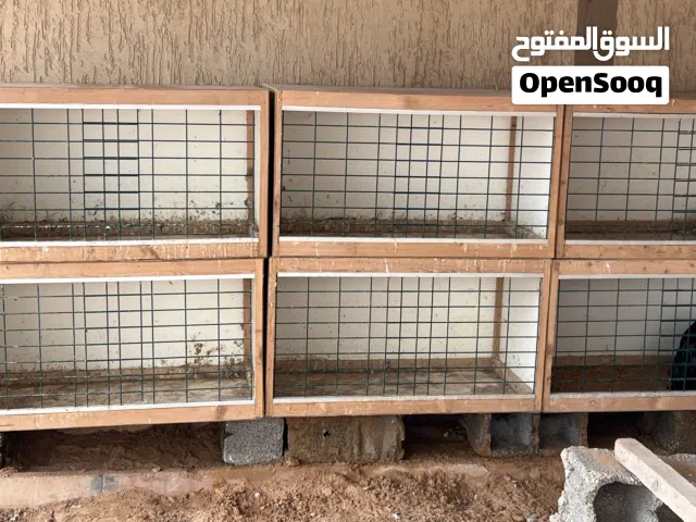 برتيات للبيع