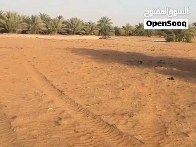 مزرعة للإيجار