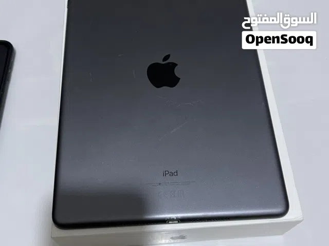 البصره ام النعاج