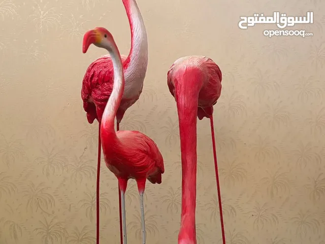 11مجسم فلامنجو نادرة للحدائق والمنتزهات