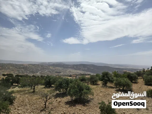 Mixed Use Land for Sale in Jerash Marsa'