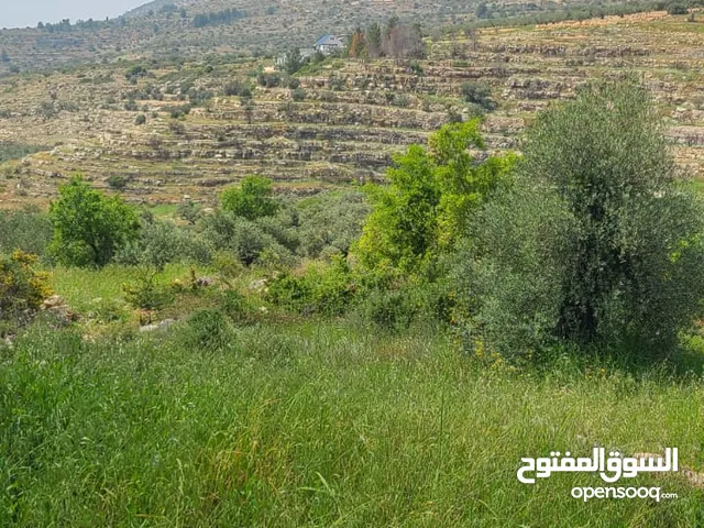 أرض للبيع من المالك مباشرة