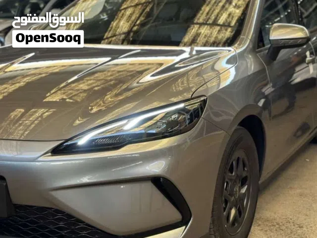 2025, بي واي دي, سيل