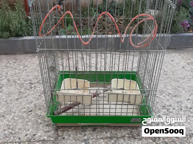 قفص عصافير كبير ونظيف الموقع عمان الجبيهة