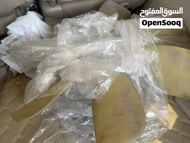 مروحة الكلتش لكزس 470 المروحه فقققط