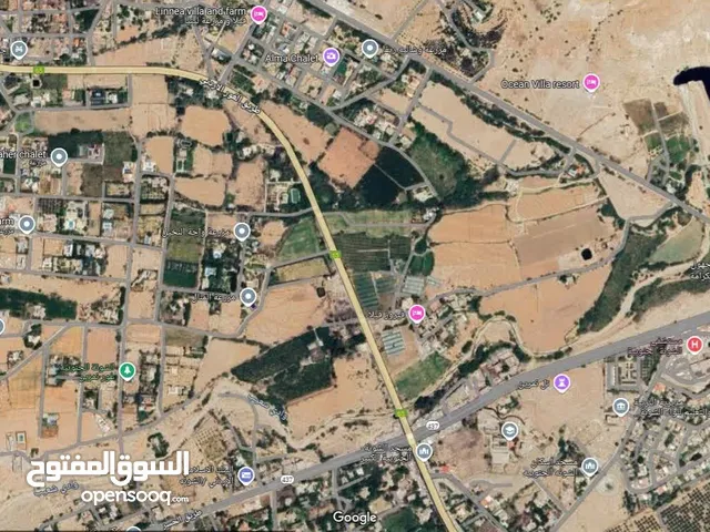 قطعة ارض للبيع من اراضي الشونة الجنوبية على الشارعمنطفة شاليهات وفلل بسعر لقطة