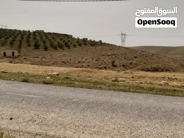 Farm Land for Sale in Mafraq Bala'ama