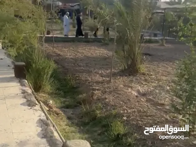 بستان 3000متر مربع طابو لوحده قرب محكمة ابو الخصيب على شارع مبلط قرب الشارع الوسطاني