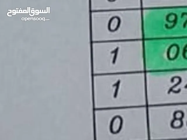 ارض للبيع في نابلس - طلوزة نمرتين 2 دونم تابع اراضي طلوزة