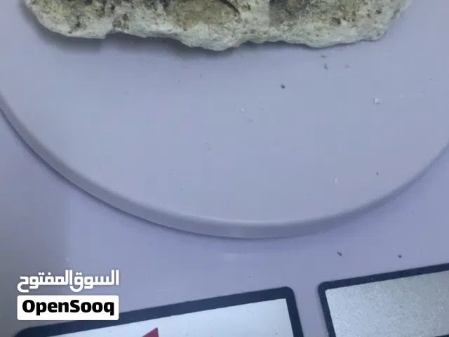 عنبر حوت خام الأشهب