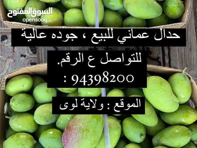 بيع حدال عماني أخضر