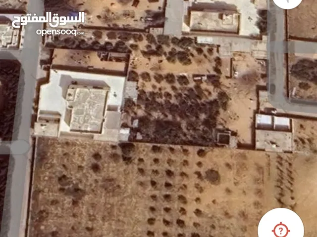Farm Land for Sale in Tripoli Wadi Al-Rabi
