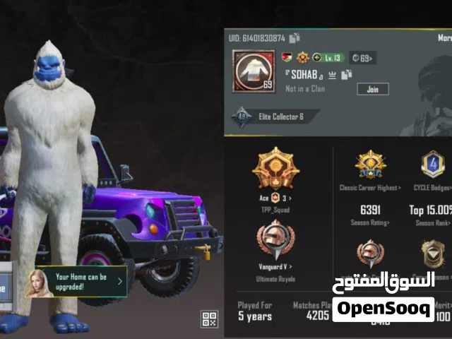 Pubg Accounts and Characters for Sale in Amman