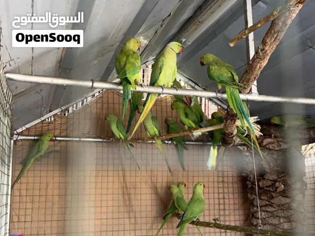للبيع او للبدل الوصف مهم