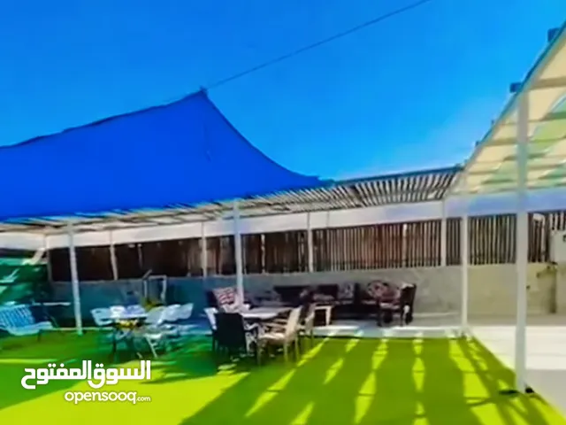 تملك شاليه بنصاريه نابلس