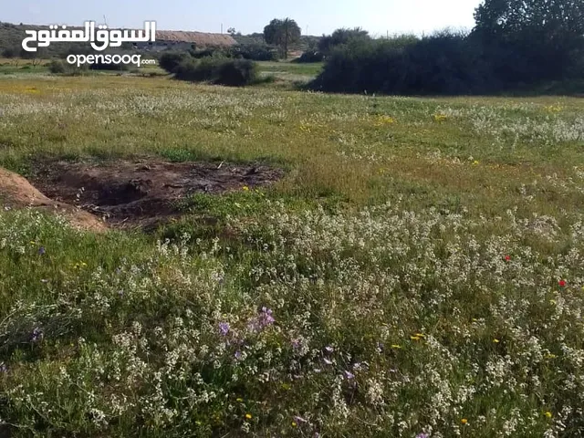 Residential Land for Sale in Al Khums Other