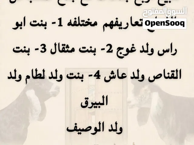 للبيع حلالي ضغط عالي