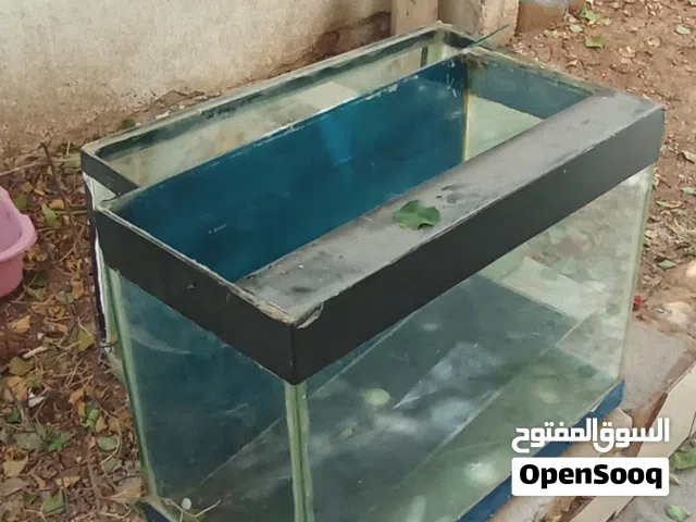 حوضين سمك زجاج