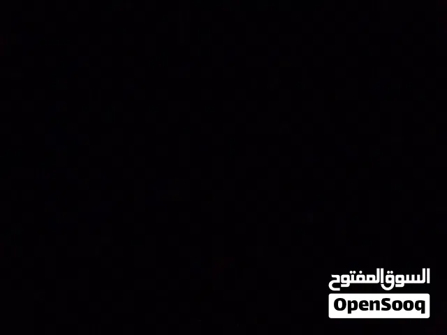 مطلوب قط ذكر او انثى للتبني صغير لون ابيض