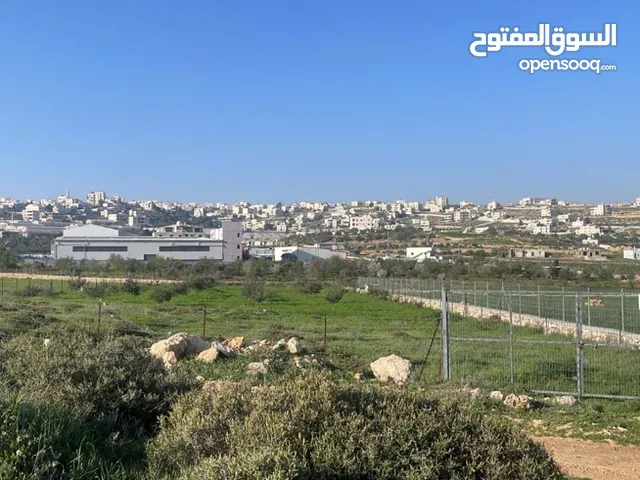 Mixed Use Land for Sale in Hebron Dura