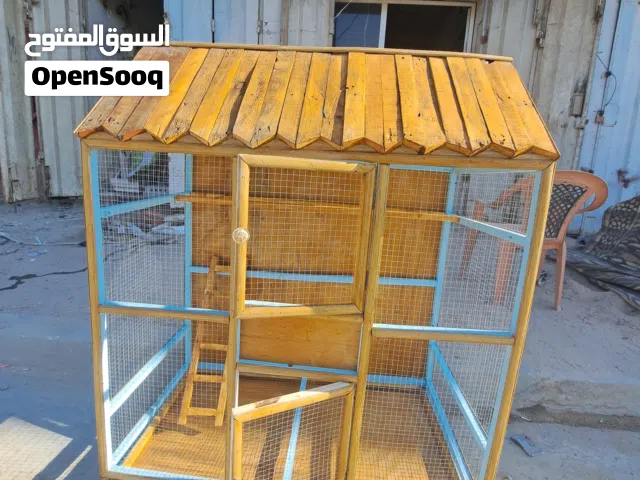 متاح .. يرهم للطيور الحب والبلابل والفناجس وغيرها