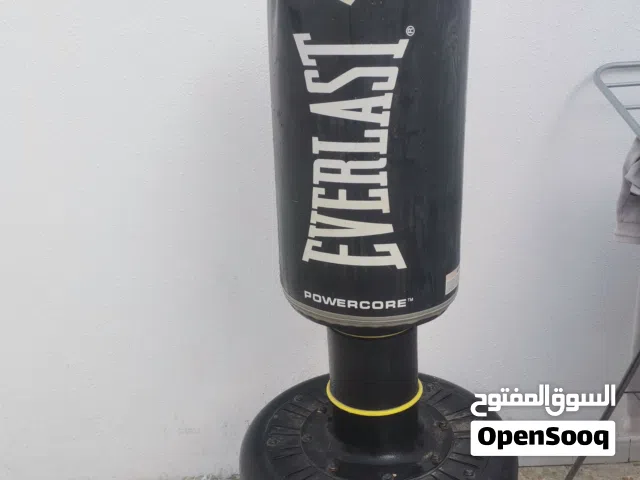 boxing Everlast Powercore