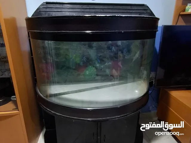 حوض سمك حجم كبير