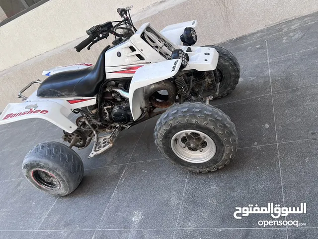 للبيع بانشي