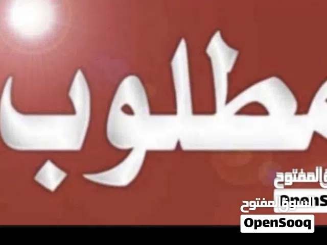 مطلب فقسات للبيغ