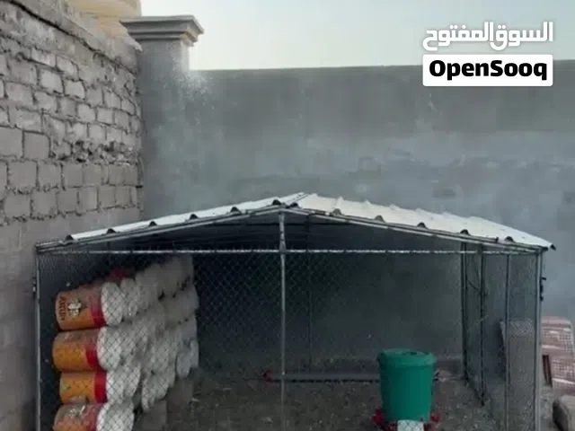 قفص ستخدام بسيط نظايف 3 ف 3 ارتفاع مترين