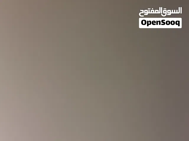 نحصلو كلب لتبني او سعر اكون اقل من  200 وكون مش شرس هلبا مكان تاجوراء بيفي