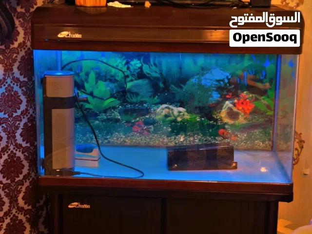Fish Aquarium With All Accessories