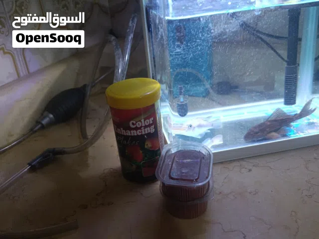 سمك زينه وحوض للبيع ويوجد توصيل