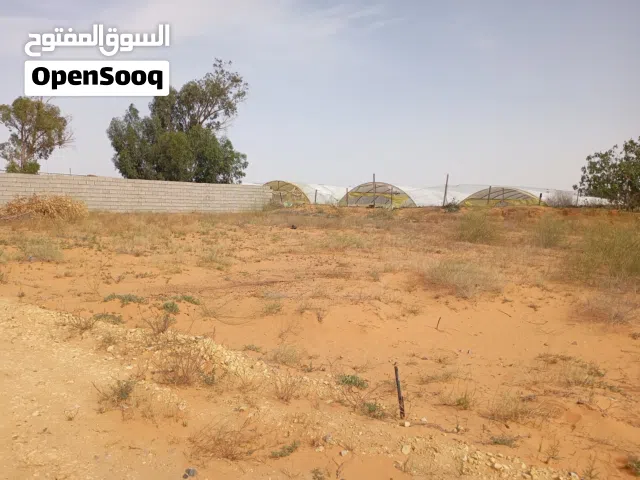 ارض للبيع منطقة البازيد (المظل)