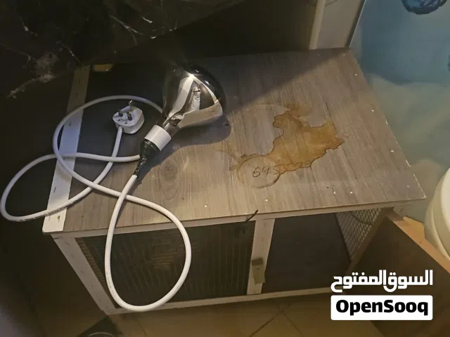 قفص مع ليت حق الصيصان