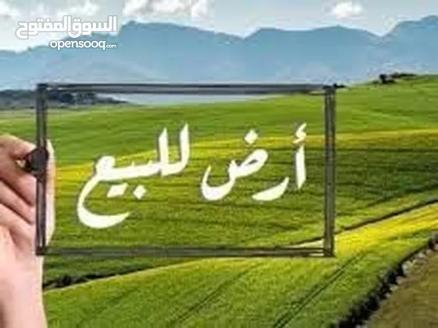 ارض للبيع 600 متر