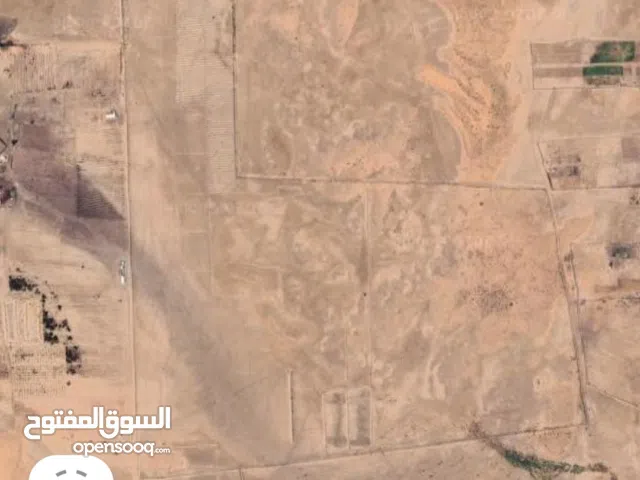 مخطط درة المحجوب