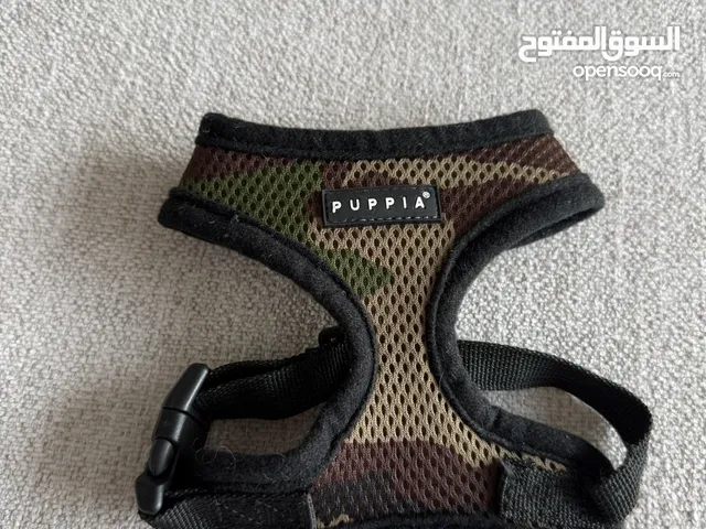 Dog Harness (Size XS) – Perfect for Small Breeds!