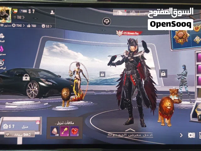 Pubg Accounts and Characters for Sale in Amman