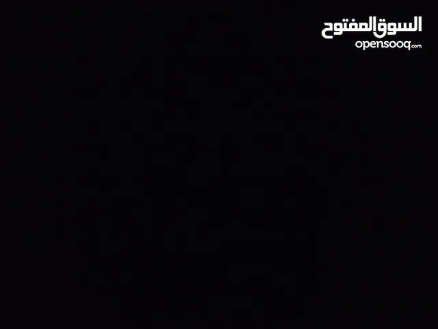 مطلوب كلب مالتيز للتبني