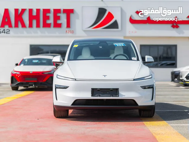 Tesla Model Y Long Range (719KM) Model - 2025