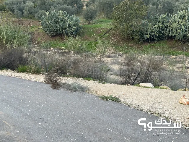 Residential Land for Sale in Nablus Taluza